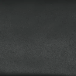 bison black